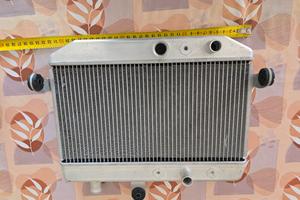 Radiatore Suzuki Burgman 400