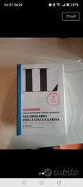 vocabolario latino
