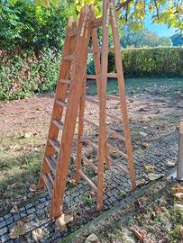 Scala Forbice in legno