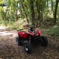 Polaris scrambler 500