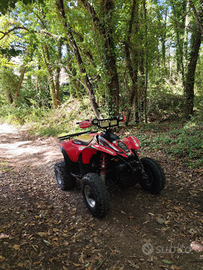 Polaris scrambler 500