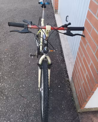 Mountain Bike Vintage Bianchi Meta – Serie Ragno