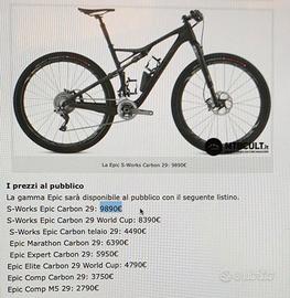  S-Works Epic full Carbon