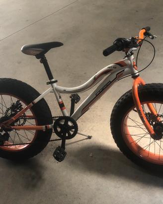 Fat bike