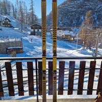 Sci d’epoca Völkl Renn Tiger anni ’70 – Carbon-Fas