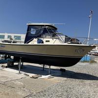 Natante Shamrock-Predator 22