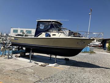 Natante Shamrock-Predator 22