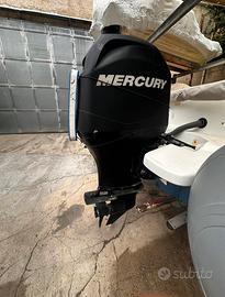 Mercury 115 EFI