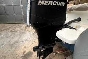 Mercury 115 EFI