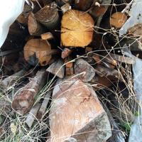 Travi legno