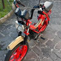 Cobra Ferrari MZV 50cc