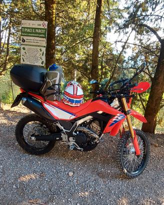 Honda crf 300 l 2026 con accessori  permuto