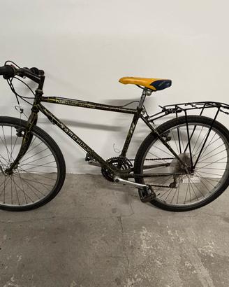 Bici MTB citybike