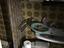 Immagine 12