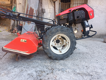 Goldoni my special diesel