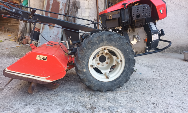 Goldoni my special diesel