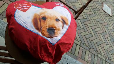 Cuscino a cuore