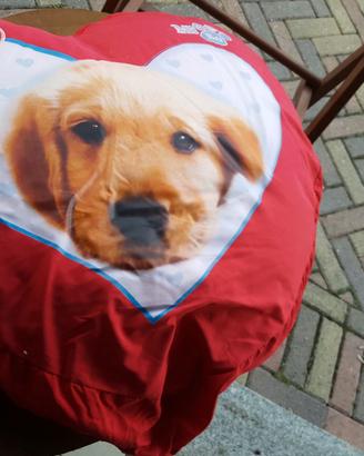 Cuscino a cuore
