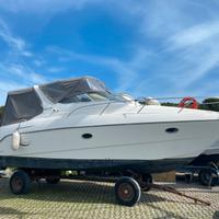 Sessa oyster 27