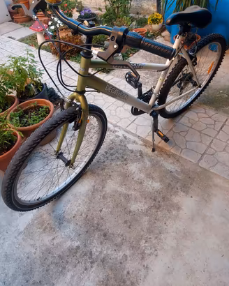 Bici mountain bike