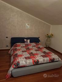 Camera da letto matrimoniale e singola