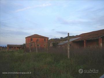 CL12 - Casale da ristrutturare con annessi e terre