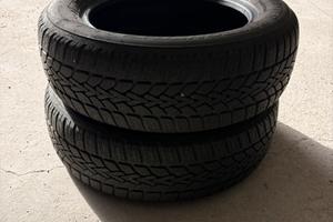Coppia gomme invernali 185/65 R15