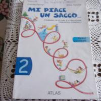 Guida italiano  2^ primaria MI PIACE UN SACCO...