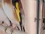 Immagine 1