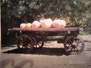 Carro agricolo restaurato