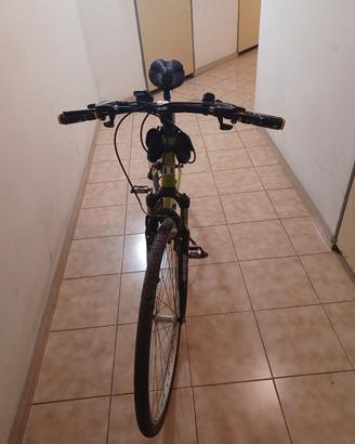 bici olympia