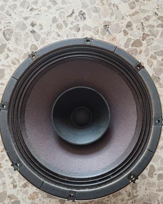 altoparlante bicono 25cm