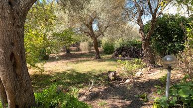 Terreno edif. zona Sa Rodia prol. Cairoli