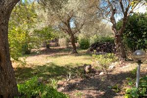 Terreno edif. zona Sa Rodia prol. Cairoli