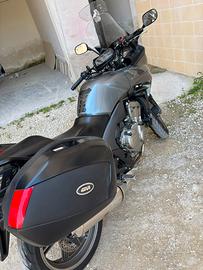 Honda Cbf 600