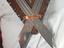 Immagine 3