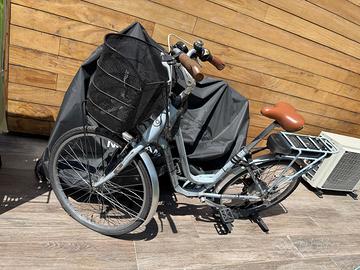 E-bike World Dimension Rose