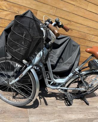 E-bike World Dimension Rose