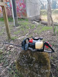 Tagliasiepe Fuji robin