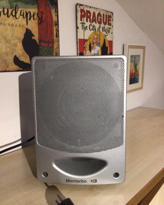 Monitor Cassa  attiva Montarbo MT160A