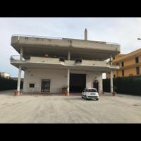 Capannone artigianale