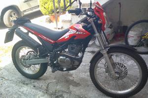 moto beta alp  200