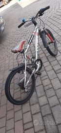 Bicicletta maschile