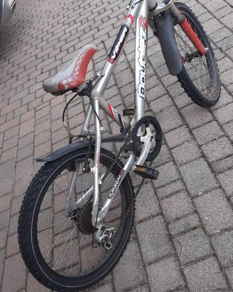 Bicicletta maschile