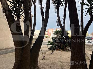 Casa Indipendente Cabras [Cod. rif 3256273VRG]