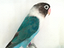 Immagine 2