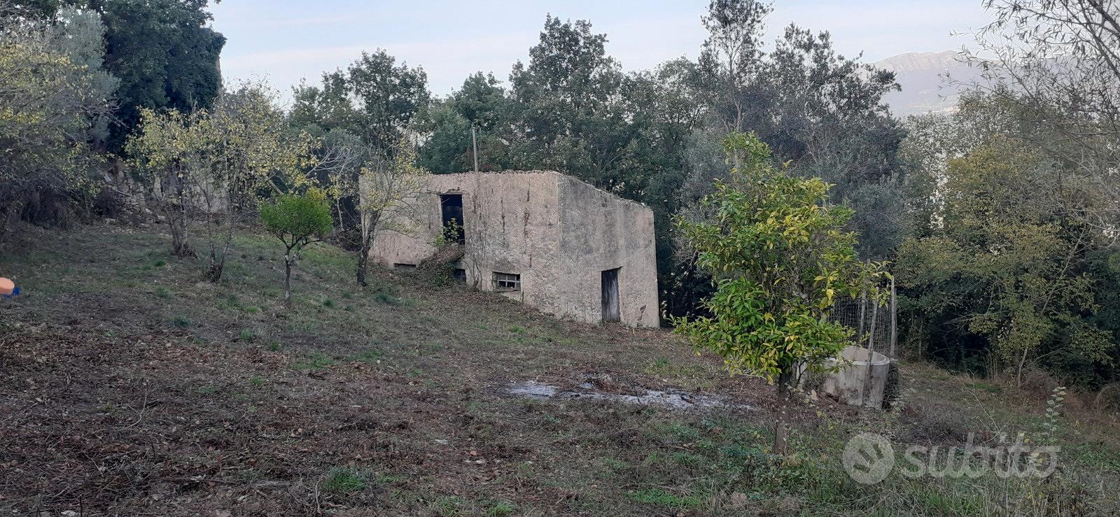 Terreno agricolo di 2,2 ettari con 2 ruderi - Vista 4