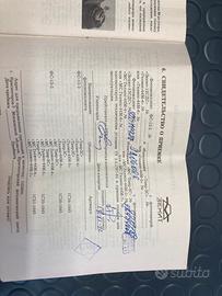 Macchina fotografica