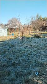 Terreno agricolo Druento (NON EDIFICABILE) 