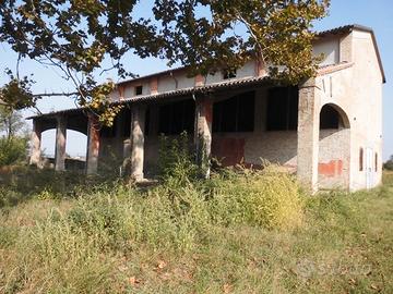 Terreno agricole di 8.5 ha e stalla/fienile